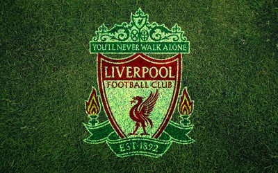 DB电竞热评-从替补席到绝对主力