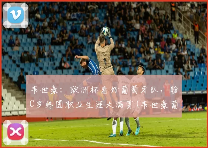 韦世豪：欧洲杯看好葡萄牙队，盼C罗终圆职业生涯大满贯(韦世豪葡超进球视频)